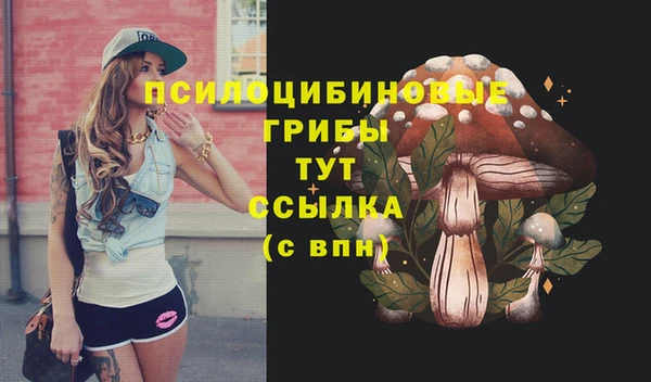 хмурый Баксан