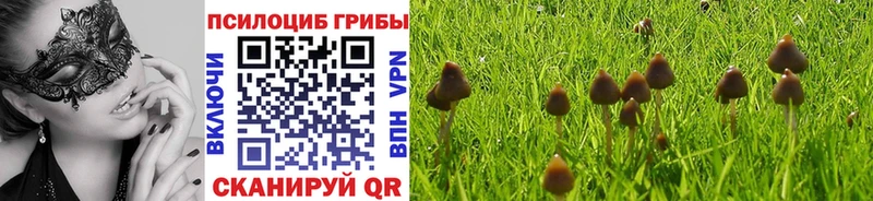 закладка  ОМГ ОМГ зеркало  Галлюциногенные грибы мухоморы  Вольск 
